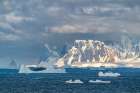 Antarctica. Landscape with mountains and icebergs. Art Print